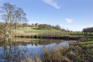 Hardwick Hall 23 sm.jpg